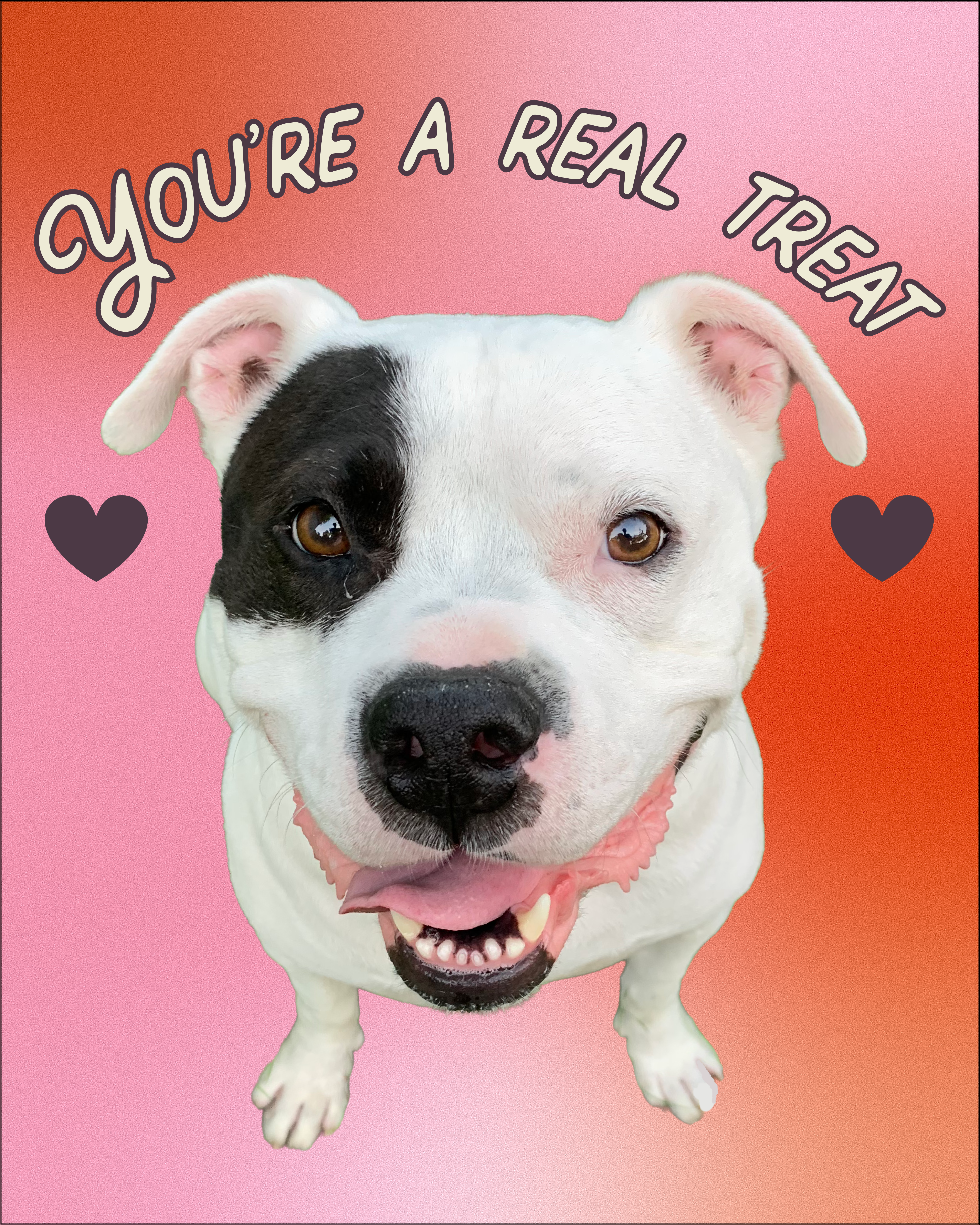 Floof Club ATX — Valentine's Day Card Real Treat